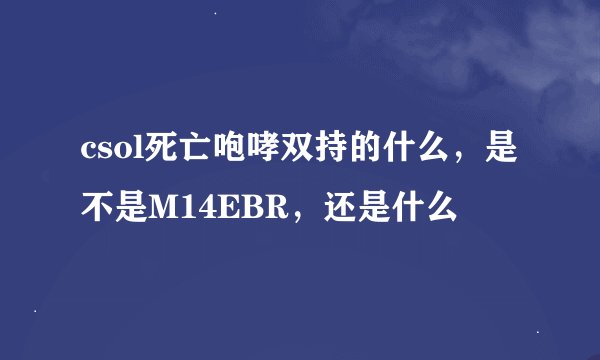 csol死亡咆哮双持的什么，是不是M14EBR，还是什么