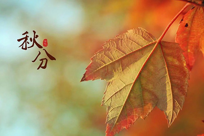 2023年秋分是几月几日几点几分