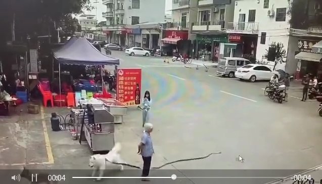 牵狗女孩想向死者家属道歉，她想说些什么？