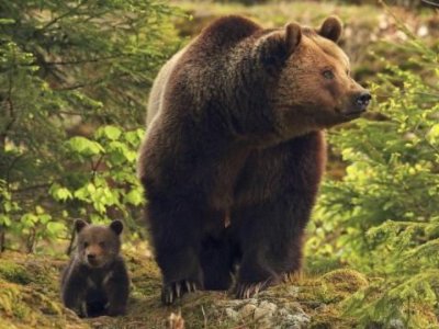 母亲带四个孩子是一种什么样的体验呢？