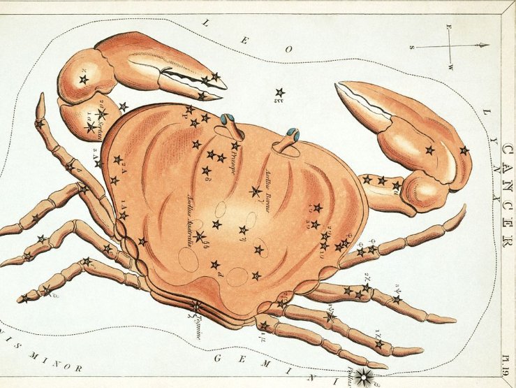 巨蟹座流星雨在什么地方和时间可以看见