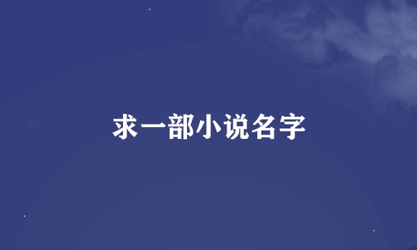 求一部小说名字