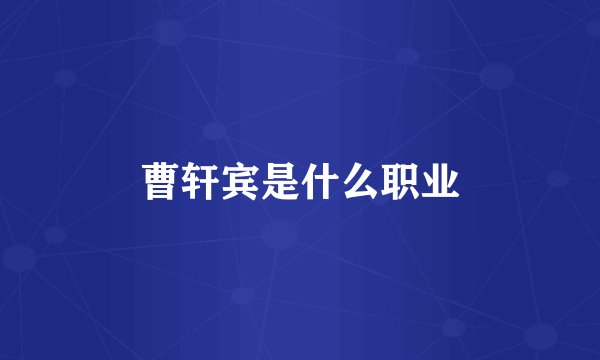 曹轩宾是什么职业