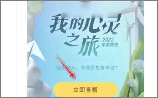 qq年度报告在哪看?