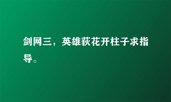 剑网三，英雄荻花开柱子求指导。