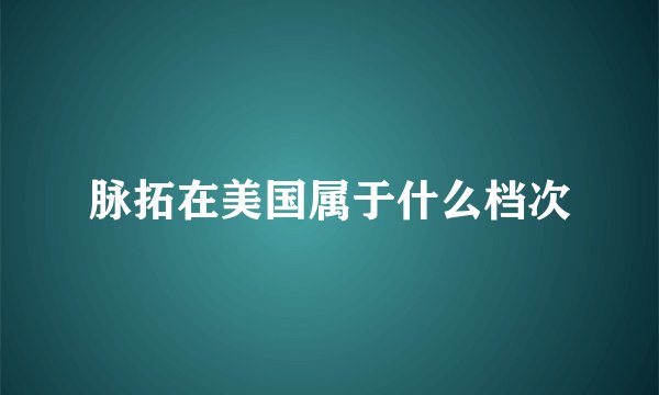 脉拓在美国属于什么档次
