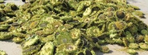 油葵仔怎么去皮？