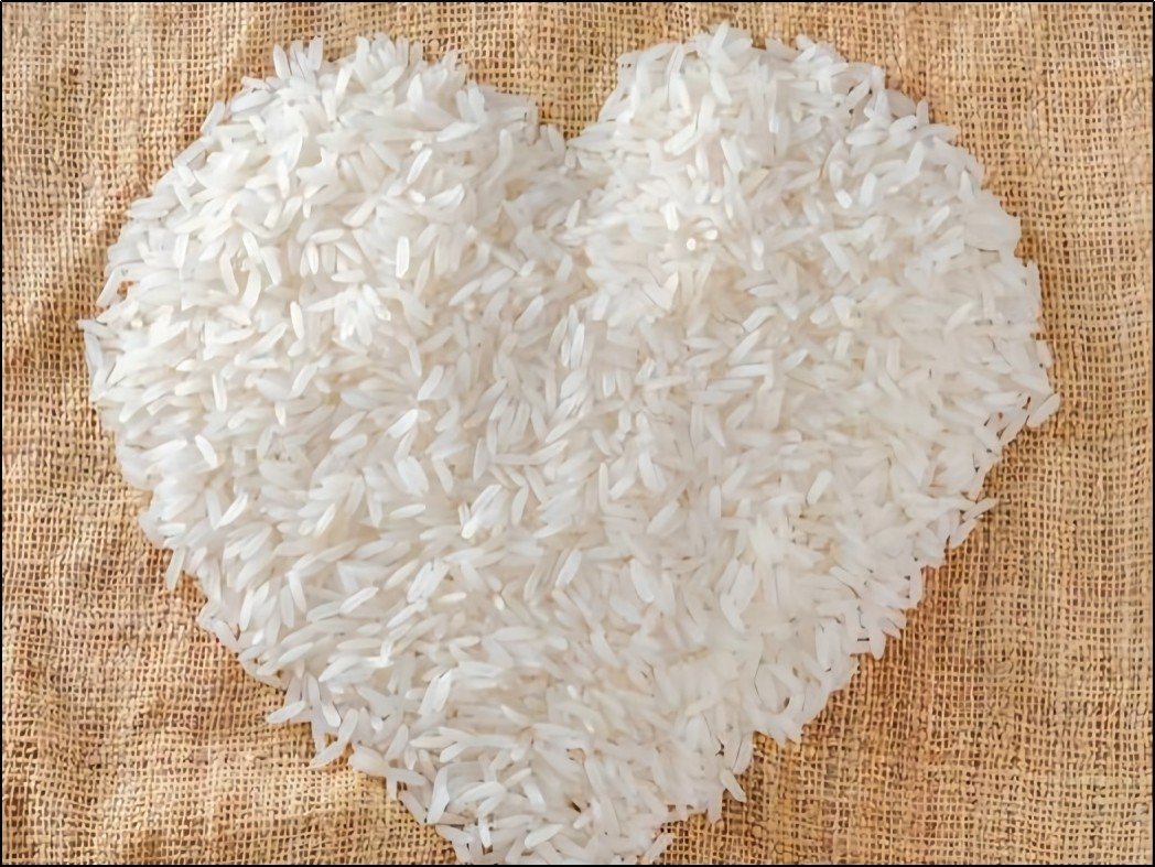 五常从什么时侯开始进贡大米