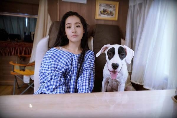 郭碧婷这么文艺的女孩子，为什么会被网友称为“国民老公”呢？