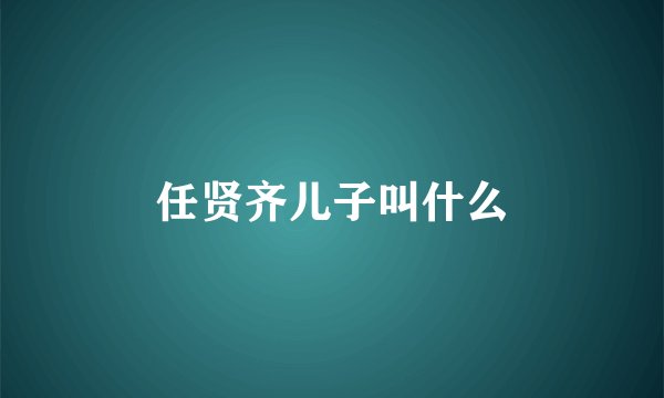 任贤齐儿子叫什么