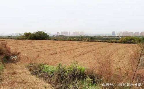 应种尽种，一亩地也不撂荒，如何才能稳住农业生产？