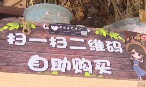 24小时自助花店两年没丢一盆花，如何看待这件事情？