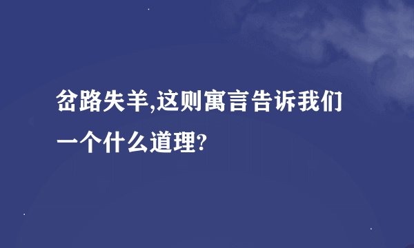 岔路失羊,这则寓言告诉我们一个什么道理?