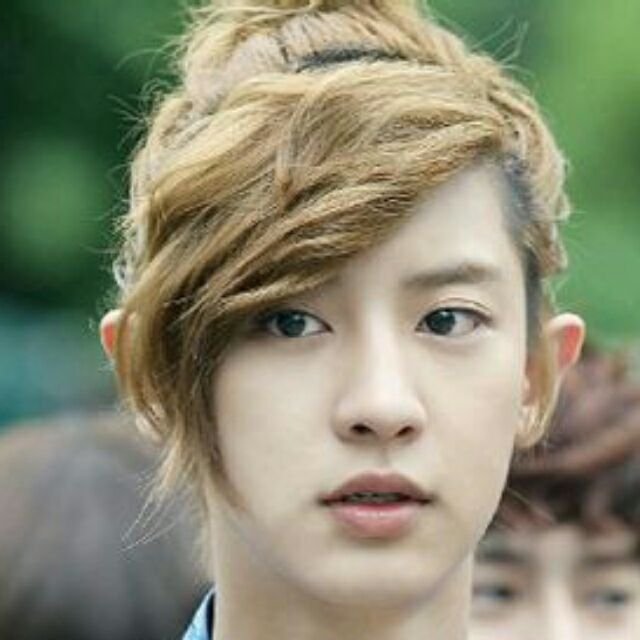 台湾欧酷的介绍