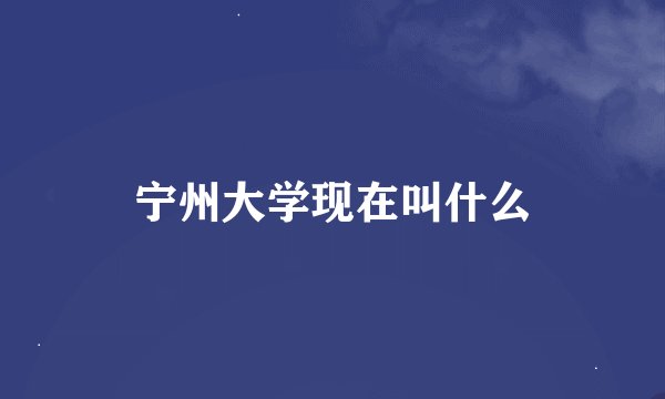 宁州大学现在叫什么