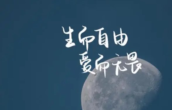 生而自由爱而无畏什么意思