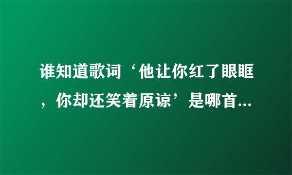 谁知道歌词‘他让你红了眼眶，你却还笑着原谅’是哪首歌里面的哦 ？