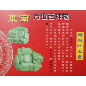 宋韶光2013蛇年运程的属龙运势