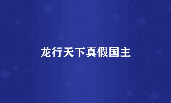 龙行天下真假国主