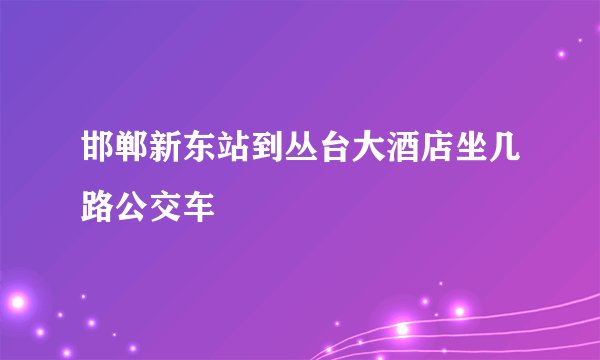 邯郸新东站到丛台大酒店坐几路公交车
