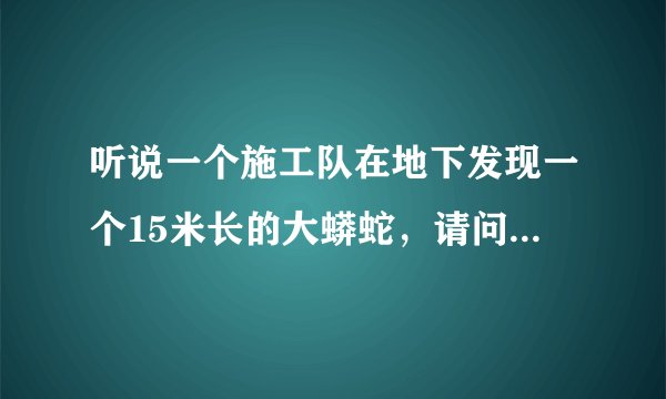 听说一个施工队在地下发现一个15米长的大蟒蛇，请问是真的吗？