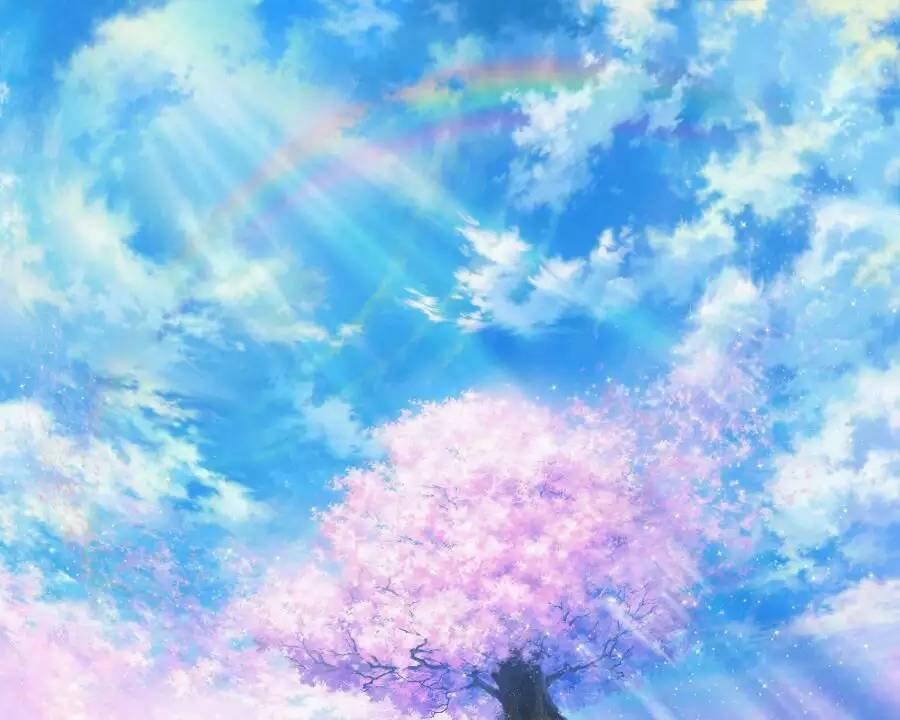 我装逼装不下去了