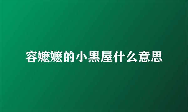 容嬷嬷的小黑屋什么意思