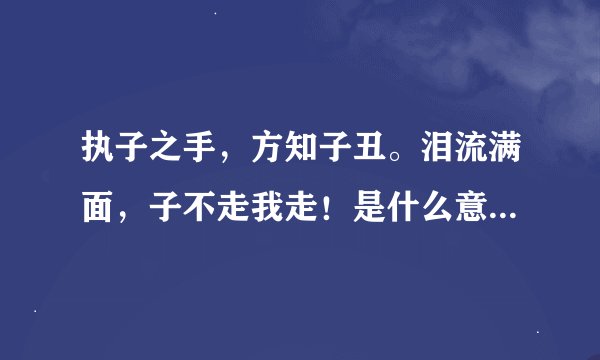 执子之手，方知子丑。泪流满面，子不走我走！是什么意思啊？求解答！