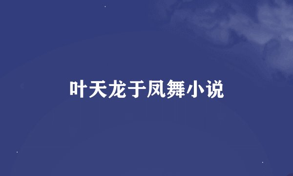 叶天龙于凤舞小说