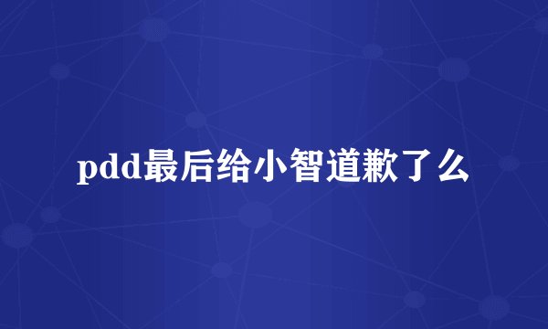 pdd最后给小智道歉了么