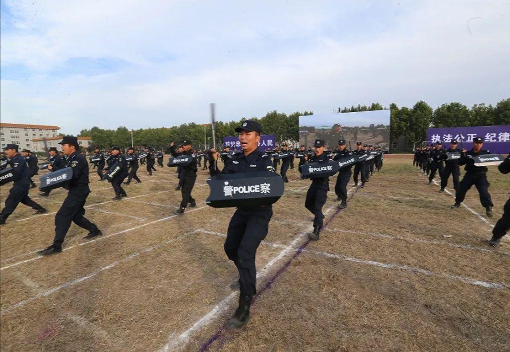 河北百日行动抓获693人，这将对维护社会治安产生哪些影响？