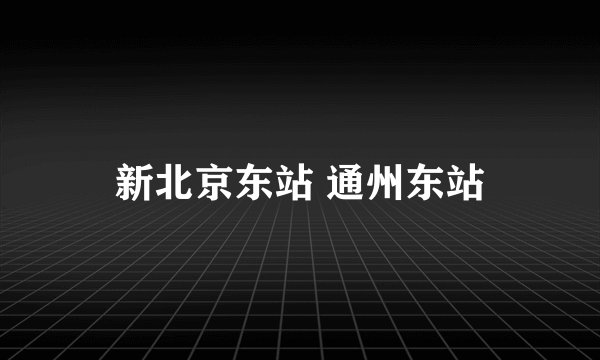 新北京东站 通州东站
