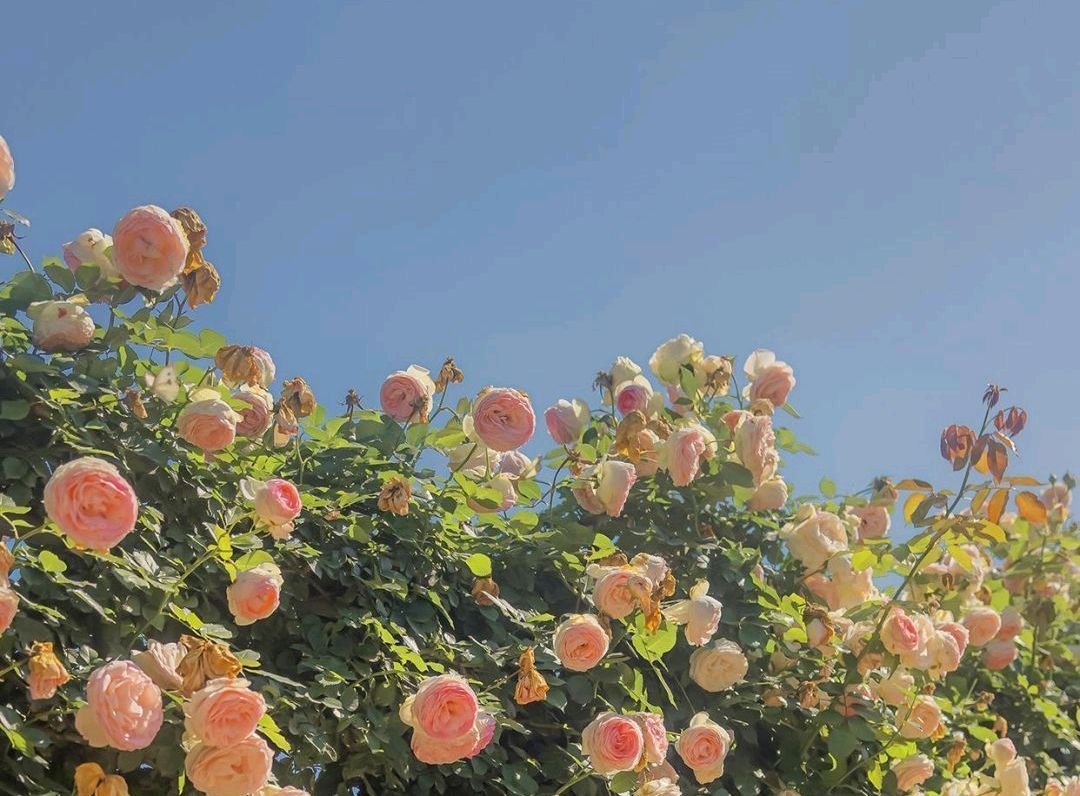 在大学宿舍有必要买床帘吗？