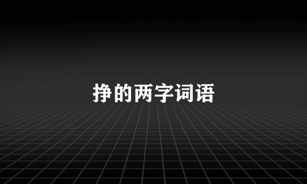 挣的两字词语