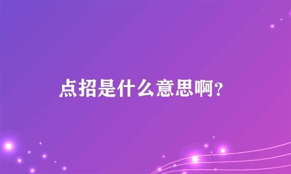 点招是什么意思啊？