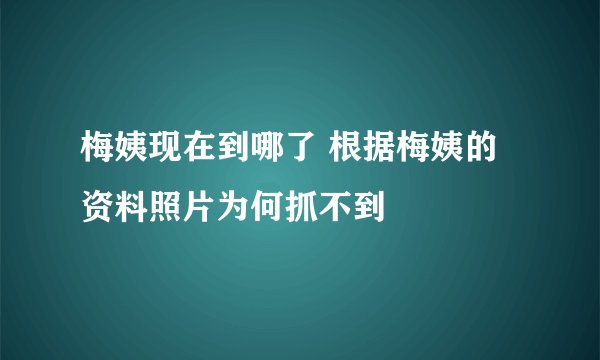 梅姨现在到哪了 根据梅姨的资料照片为何抓不到