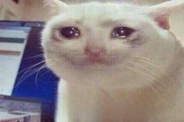 emo了是什么意思 最近网络流行语emo的含义