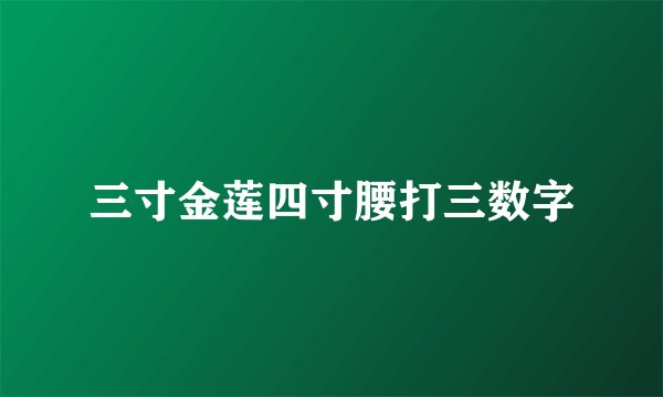 三寸金莲四寸腰打三数字