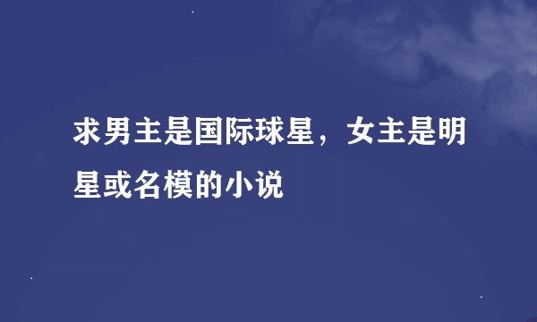 求男主是国际球星，女主是明星或名模的小说