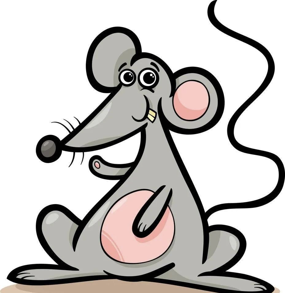 高校回应老鼠在食品架子上乱跑！具体是如何回应的？