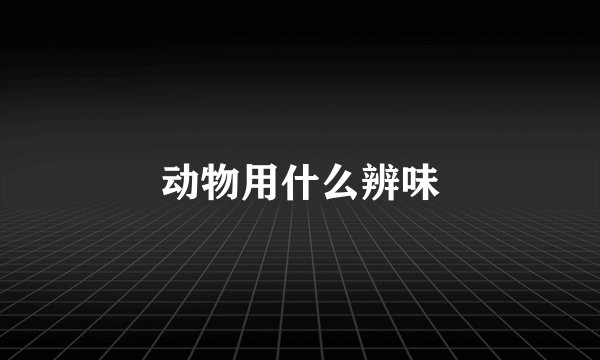 动物用什么辨味