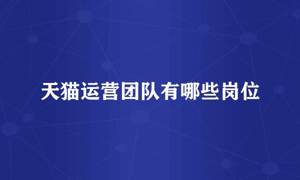 天猫运营团队有哪些岗位