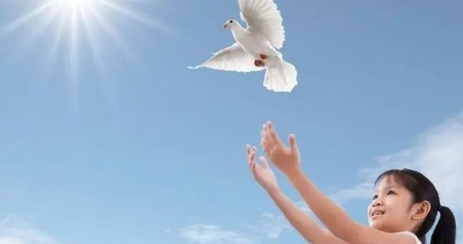 生活在和平年代的感悟有哪些？