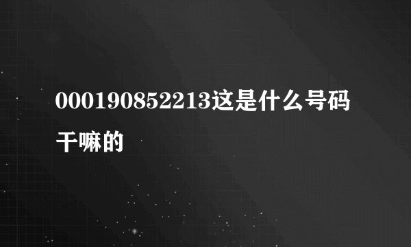 000190852213这是什么号码干嘛的