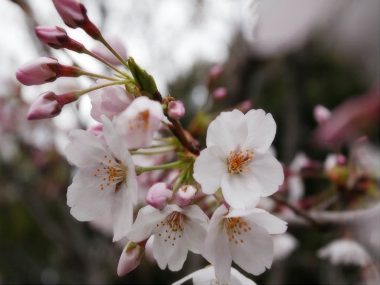 交九时间表2022至2023