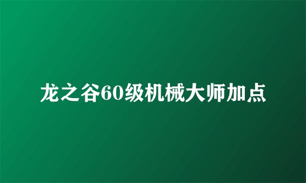 龙之谷60级机械大师加点