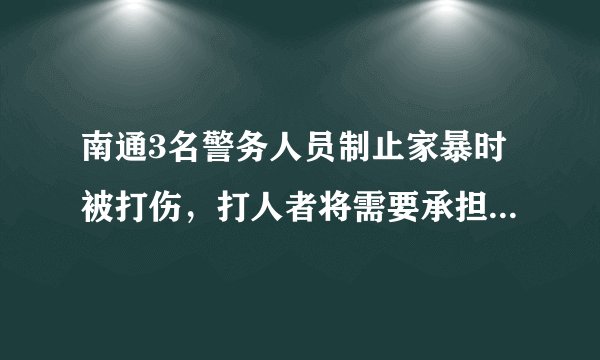 南通3名警务人员制止家暴时被打伤，打人者将需要承担哪些法律责任？