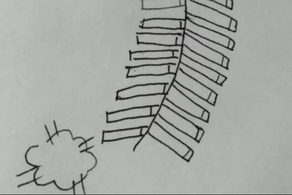 简笔鞭炮怎么画