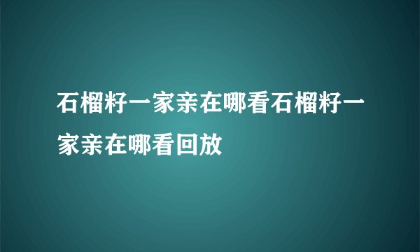 石榴籽一家亲在哪看石榴籽一家亲在哪看回放