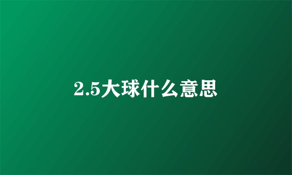 2.5大球什么意思